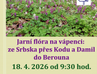 Botanická vycházka 18.4. Botanická vycházka 18.4.