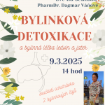 Bylinková detoxikace