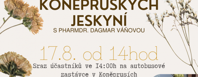 Bylinkářská vycházka Koněprusy 17.8.2025