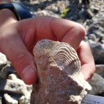 geologicka_exkurze_Koneprusy geologicka_exkurze_Koneprusy