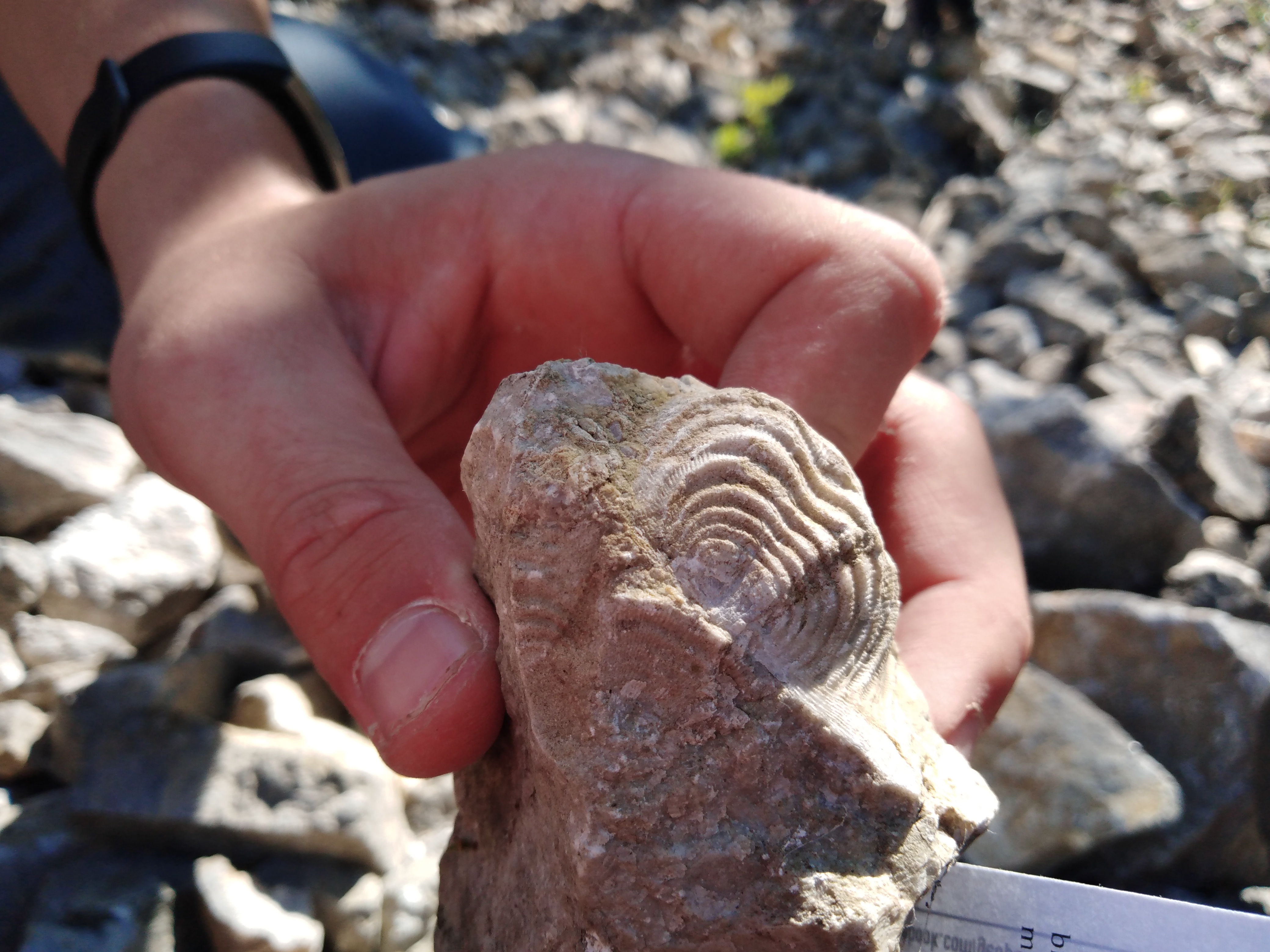 geologicka_exkurze_Koneprusy