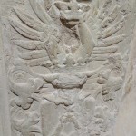 IMG_20250717_102618475_MFNR