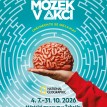 Mozek v akci_uprava_plakatu_pro_Zebrak Mozek v akci_uprava_plakatu_pro_Zebrak