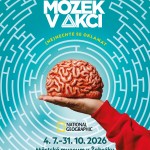Mozek v akci_uprava_plakatu_pro_Zebrak