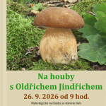 Na houby s Oldřichem Jindřichem
