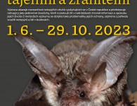 Netopyri_tajemni_plakat_A3_vystava_web_2