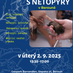 Netopýři Beroun (2)
