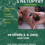 Netopýři Hořovice (2)
