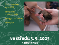 Netopýři Hořovice (2)