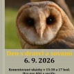 Návrh plakátu Sovy a dravci