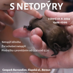 Odpoledne s netopýry 27.8.24 Odpoledne s netopýry 27.8.24
