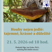 Přednáška Houby