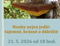 Přednáška Houby