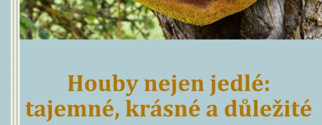 Přednáška Houby