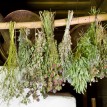 bunches of dried healing herbs