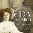 Vida_ve_stinu_plakát_A3