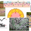 Příklady on-line aktivit při výuce geologie