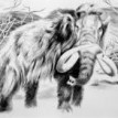 Mamut