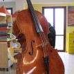 Violoncello