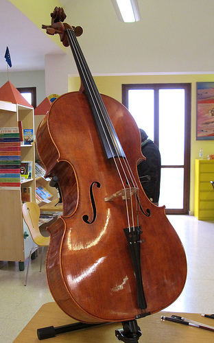 Violoncello