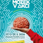 uprava_plakatu_Mozek v akci_pro_Beroun
