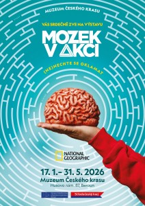 Mozek v akci