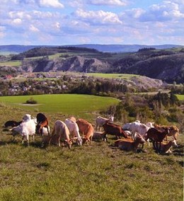 Český kras 2012-d Český kras 2012-d